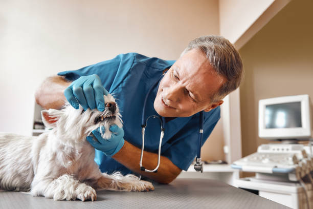 Best Emergency Dentist for Special Needs Patients in Chipley, FL